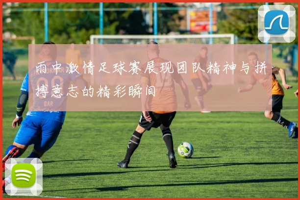 雨中激情足球赛展现团队精神与拼搏意志的精彩瞬间