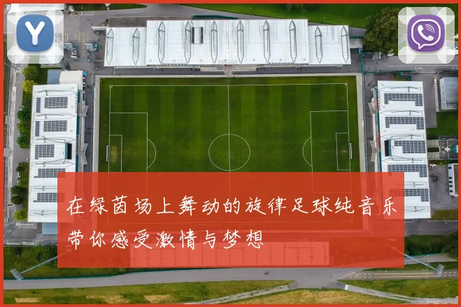 在绿茵场上舞动的旋律足球纯音乐带你感受激情与梦想
