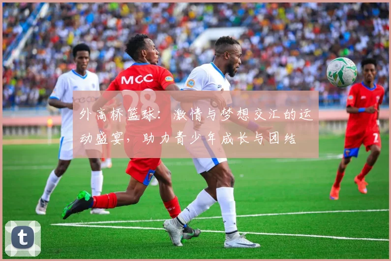 外高桥篮球：激情与梦想交汇的运动盛宴，助力青少年成长与团结