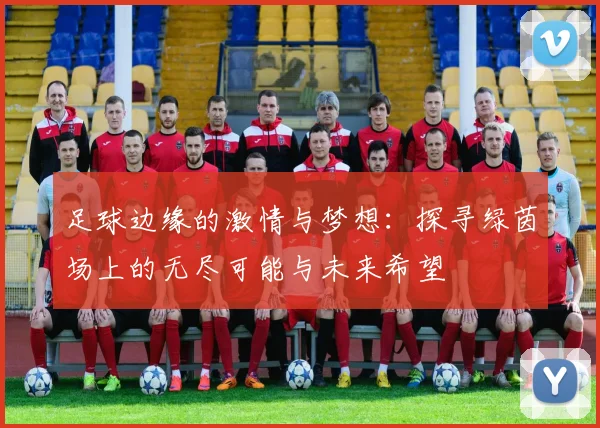 足球边缘的激情与梦想：探寻绿茵场上的无尽可能与未来希望