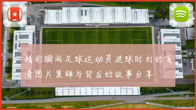 精彩瞬间足球运动员进球时刻的高清图片集锦与背后的故事分享